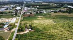 ขายที่ดินนิคมพัฒนา ระยอง 47-2-96ไร่ ติดถนนนิคมสาย 11 ผังสีม่วงลาย เหมาะสำหรับทำ โรงงาน โกดัง คลังสินค้า บ้านจัดสรร-202512060312261764965546176.jpg