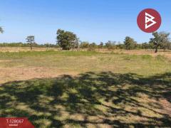 ขายที่ดิน เนื้อที่ 7 ไร่ 21 ตร.วา กุสุมาลย์ สกลนคร-202512060351181764967878575.jpg