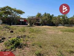 ขายที่ดิน เนื้อที่ 7 ไร่ 21 ตร.วา กุสุมาลย์ สกลนคร-202512060351191764967879785.jpg