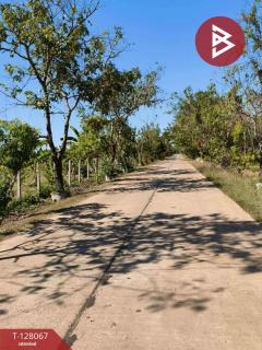 ขายที่ดิน เนื้อที่ 7 ไร่ 21 ตร.วา กุสุมาลย์ สกลนคร-202512060351211764967881043.jpg