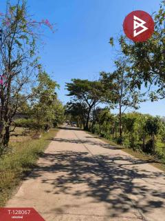 ขายที่ดิน เนื้อที่ 7 ไร่ 21 ตร.วา กุสุมาลย์ สกลนคร-202512060351211764967881614.jpg