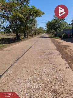 ขายที่ดิน เนื้อที่ 7 ไร่ 21 ตร.วา กุสุมาลย์ สกลนคร-202512060351221764967882800.jpg