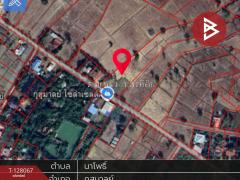 ขายที่ดิน เนื้อที่ 7 ไร่ 21 ตร.วา กุสุมาลย์ สกลนคร-202512060351231764967883410.jpg