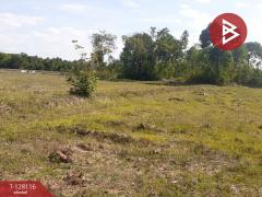 ขายที่ดิน เนื้อที่ 32 ไร่ 77 ตร.วา กบินทร์บุรี ปราจีนบุรี-202512060445431764971143981.jpg