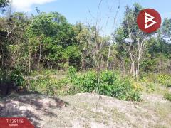 ขายที่ดิน เนื้อที่ 32 ไร่ 77 ตร.วา กบินทร์บุรี ปราจีนบุรี-202512060445451764971145190.jpg