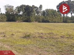 ขายที่ดิน เนื้อที่ 32 ไร่ 77 ตร.วา กบินทร์บุรี ปราจีนบุรี-202512060445451764971145773.jpg