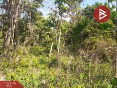 ขายที่ดิน เนื้อที่ 32 ไร่ 77 ตร.วา กบินทร์บุรี ปราจีนบุรี-202512060445471764971147125.jpg