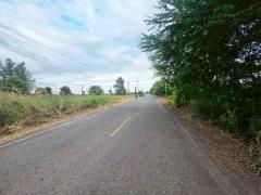 ขายที่ดินเปล่า ดงละคร ใกล้วัดใหม่บำเพ็ญผล ปากพลี นครนายก-202512060901391764986499598.jpg