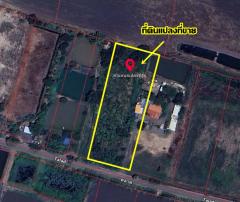 ขายที่ดินเปล่า ดงละคร ใกล้วัดใหม่บำเพ็ญผล ปากพลี นครนายก-202512060901401764986500736.jpg