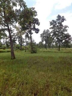 ขายที่ดินจังหวัดนครพนม ที่ดินเจ้าของขายเองจังหวัดนครพนม ขายที่ดิน 43ไร่ 3งาน 80 ตรว​ 