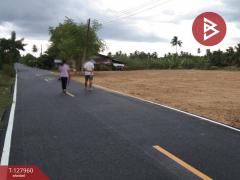 ขายที่ดิน-เนื้อที่-2-ไร่-83.4-ตร.วา-สามพร