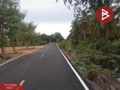 ขายที่ดิน เนื้อที่ 2 ไร่ 83.4 ตร.วา สามพราน นครปฐม-202512061359281765004368279.jpg