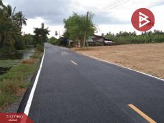 ขายที่ดิน เนื้อที่ 2 ไร่ 83.4 ตร.วา สามพราน นครปฐม-202512061359281765004368874.jpg