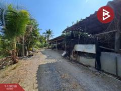 ขายที่ดินแปลงใหญ่ เนื้อที่ 9 ไร่ 2 งาน 46 ตารางวา อ.สามพราน นครปฐม ติดถนน-202512061457571765007877247.jpg