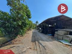 ขายที่ดินแปลงใหญ่ เนื้อที่ 9 ไร่ 2 งาน 46 ตารางวา อ.สามพราน นครปฐม ติดถนน-202512061457581765007878368.jpg