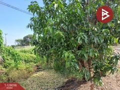 ขายที่ดินแปลงใหญ่ เนื้อที่ 9 ไร่ 2 งาน 46 ตารางวา อ.สามพราน นครปฐม ติดถนน-202512061458011765007881385.jpg