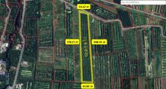 ขายที่ดิน สวนมะพร้าว  12-2-7.9 ไร่ อ.ปากพนัง จ.นครศรีธรรมราช *เก็บผลผลิตได้เลย*