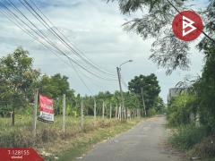 ขายที่ดินเปล่าถมแล้ว เนื้อที่ 2 งาน 32 ตร.วา เขตบางเขน กรุงเทพมหานคร-202512061710141765015814268.jpg