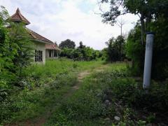 ขายที่ดินติดถนน 10 ไร่พร้อมสิ่งปลูกสร้าง 3 หลัง อยู่ อ.โพธาราม จ.ราชบุรี