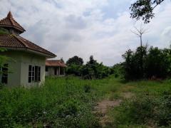 ขายที่ดินติดถนน 10 ไร่พร้อมสิ่งปลูกสร้าง 3 หลัง อยู่ อ.โพธาราม จ.ราชบุรี-202512061716101765016170502.jpg