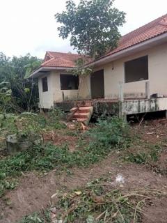 ขายที่ดินติดถนน 10 ไร่พร้อมสิ่งปลูกสร้าง 3 หลัง อยู่ อ.โพธาราม จ.ราชบุรี-202512061716281765016188308.jpg