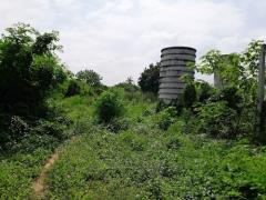 ขายที่ดินติดถนน 10 ไร่พร้อมสิ่งปลูกสร้าง 3 หลัง อยู่ อ.โพธาราม จ.ราชบุรี-202512061716381765016198288.jpg