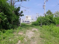 ขายที่ดินติดถนน 10 ไร่พร้อมสิ่งปลูกสร้าง 3 หลัง อยู่ อ.โพธาราม จ.ราชบุรี-202512061716441765016204110.jpg