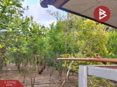 ขายบ้านเดี่ยวพร้อมที่ดิน เนื้อที่ 3 งาน 33 ตร.วา ขลุง จันทบุรี-202512061744381765017878648.jpg