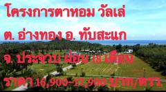 โครงการโค่กตาหอมวัลเล่อ.ทับสะแกจ.ประจวบหมอกลงปกคุมภูเขาเสียงครื่นทะเลกลิ่นไอดินสดชื่นใกล้ทะเลโฉนดจริง