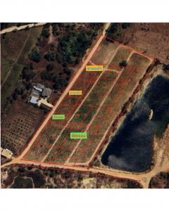 ที่ดินสวยแบ่งขายปากน้ำปราณ ติดแกรนแคนยอนปราณบุรี มีเพื่อนบ้านต่างชาติปลูกบ้านแล้ว เหมาะทำบ้านพักตากอากาศ พลูวิลล่า ซื้อเก็บเก็งกำไร  ใกล้แหล่งชุมชนร้านค้า ตลาด เพียง 5 นาที ใกล้โครงการหมู่บ้านจัดสรรมากมาย -202512070904281765073068128.jpg