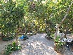 บ้านสวนละมุด 101 อำเภอบ้านลาด จังหวัดเพชรบุรี ขายบ้านพร้อมที่ดิน 266 ตารางวา 2 ห้องนอน 2 ห้องน้ำ ใกล้โรบินสันเพชรบุรี 7 กม.-202512070918291765073909443.jpg