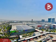 ขาย/เช่า คอนโดมิเนียม นิว เมกา พลัส บางนา (Nue Mega Plus Bangna) สมุทรปราการ-202512071007031765076823861.jpg