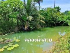 ที่ดินสวยใกล้ทะเล ติดคลองน้ำ ผ่อน0%แบ่งจ่ายนานถึง 60 งวด พื้นที่ 304 ตรว.  ตรว.ละ 4,000 บาท  ทำสัญญา 50,000 บาท แบ่งจ่ายเริ่มต้นเดือนละ 10,000 บาทนาน 60 เดือน ฟรีดอกเบี้ย ฟรีค่าใช้จ่ายในวันโอนกรรมสิทธิ์ ไฟฟ้า-น้ำปะปาหน้าแปลง มีเพื่อนบ้าน-202512071026291765077989258.jpg