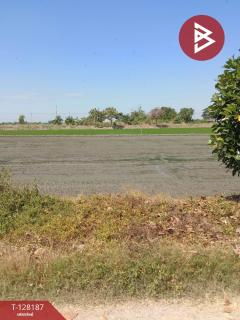 ขายที่ดิน-เนื้อที่-3-งาน-ไทรน้อย-นนทบ