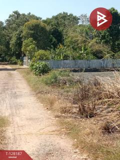 ขายที่ดิน เนื้อที่ 3 งาน ไทรน้อย นนทบุรี-202512080120221765131622129.jpg