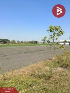 ขายที่ดิน เนื้อที่ 3 งาน ไทรน้อย นนทบุรี-202512080120221765131622969.jpg