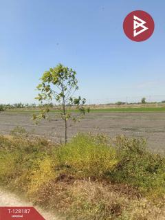 ขายที่ดิน เนื้อที่ 3 งาน ไทรน้อย นนทบุรี-202512080120231765131623520.jpg