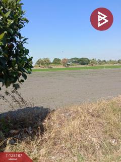 ขายที่ดิน เนื้อที่ 3 งาน ไทรน้อย นนทบุรี-202512080120241765131624077.jpg