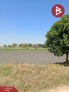 ขายที่ดิน เนื้อที่ 3 งาน ไทรน้อย นนทบุรี-202512080120241765131624633.jpg