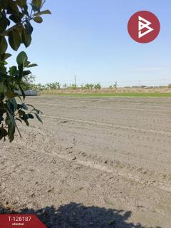 ขายที่ดิน เนื้อที่ 3 งาน ไทรน้อย นนทบุรี-202512080120251765131625186.jpg