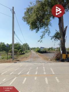 ขายที่ดิน เนื้อที่ 3 งาน ไทรน้อย นนทบุรี-202512080120251765131625741.jpg