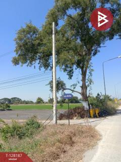 ขายที่ดิน เนื้อที่ 3 งาน ไทรน้อย นนทบุรี-202512080120261765131626374.jpg