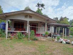 ขายบ้านพร้อมสวนผลไม้ 178 ตรว. จ.ชุมพร – พร้อมอยู่ ราคาเพียง 1.6 ล้าน!