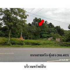 ขายที่ดินว่างเปล่า ถนน ตรัง-ทุ่งสง (ทล. 403) ตำบล ควนเมา อำเภอ ห้วยยอด จังหวัด ตรัง