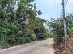 ขาย ที่ดิน FA035 ที่ดิน ราคาถูก ทำเลดี หมอนนาง พนัสนิคม ชลบุรี . 3200 ตรม 4 ไร่ กำแพงล้อมรอบ ห่างถนน 3284 เพียง 500 m-202512081606451765184805598.jpg