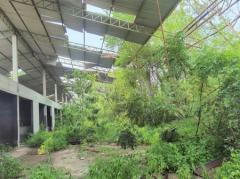 ขาย ที่ดิน FA035 ที่ดิน ราคาถูก ทำเลดี หมอนนาง พนัสนิคม ชลบุรี . 3200 ตรม 4 ไร่ กำแพงล้อมรอบ ห่างถนน 3284 เพียง 500 m-202512081606471765184807068.jpg