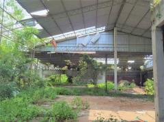 ขาย ที่ดิน FA035 ที่ดิน ราคาถูก ทำเลดี หมอนนาง พนัสนิคม ชลบุรี . 3200 ตรม 4 ไร่ กำแพงล้อมรอบ ห่างถนน 3284 เพียง 500 m-202512081606471765184807568.jpg