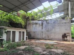 ขาย ที่ดิน FA035 ที่ดิน ราคาถูก ทำเลดี หมอนนาง พนัสนิคม ชลบุรี . 3200 ตรม 4 ไร่ กำแพงล้อมรอบ ห่างถนน 3284 เพียง 500 m-202512081606481765184808053.jpg