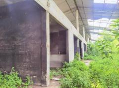 ขาย ที่ดิน FA035 ที่ดิน ราคาถูก ทำเลดี หมอนนาง พนัสนิคม ชลบุรี . 3200 ตรม 4 ไร่ กำแพงล้อมรอบ ห่างถนน 3284 เพียง 500 m-202512081606481765184808538.jpg