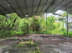 ขาย ที่ดิน FA035 ที่ดิน ราคาถูก ทำเลดี หมอนนาง พนัสนิคม ชลบุรี . 3200 ตรม 4 ไร่ กำแพงล้อมรอบ ห่างถนน 3284 เพียง 500 m-202512081606491765184809537.jpg